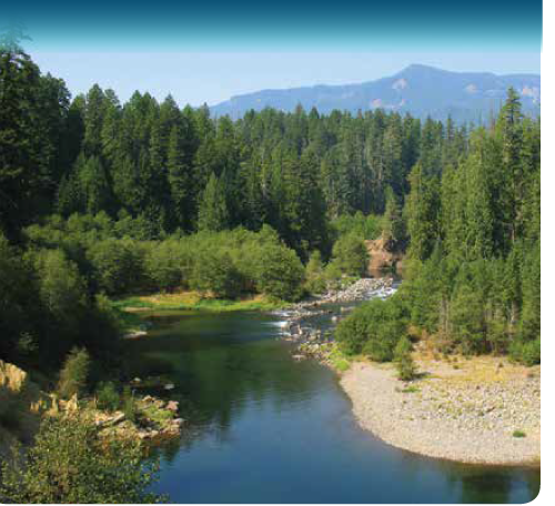 Clackamas River Water Providers PROTECTING OUR WATERSHED