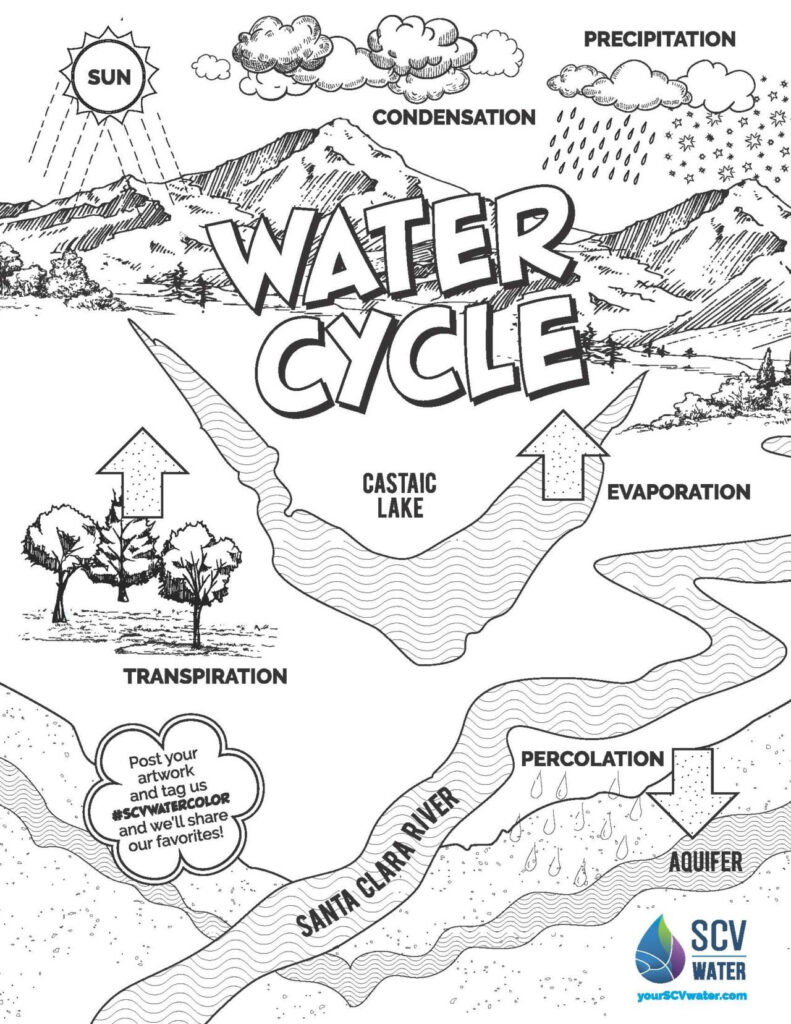 Water Cycle Coloring Page SCV Water