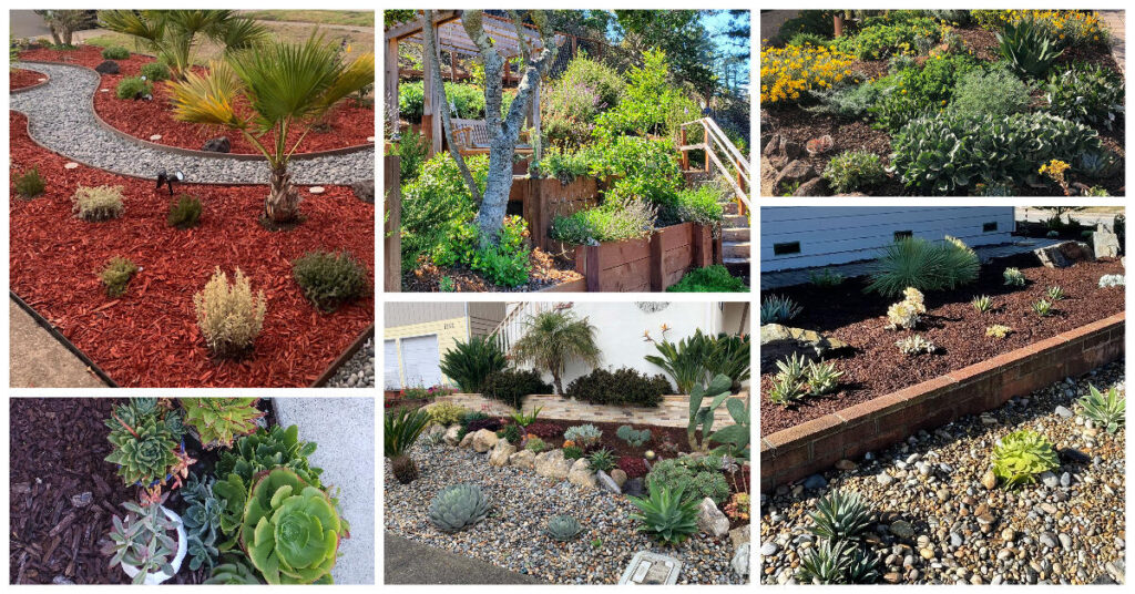 Garden Contest Voting Ends Today North Coast County Water District 