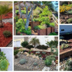 Garden Contest Voting Ends Today North Coast County Water District