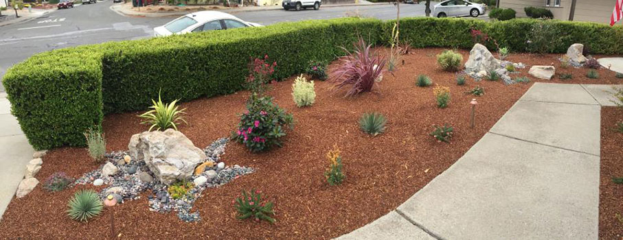 Water Efficient Landscaping Rebate Program San Jose