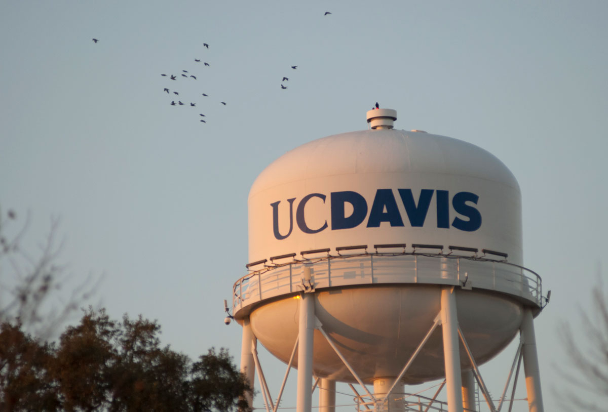 Davis Water District Rebate WaterRebate