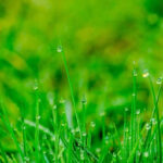 Denver Water Smart Sprinkler Rebate WaterRebate