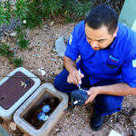 Hack Your Water Bill 6 Valuable Tucson Water Rebates Water Bill