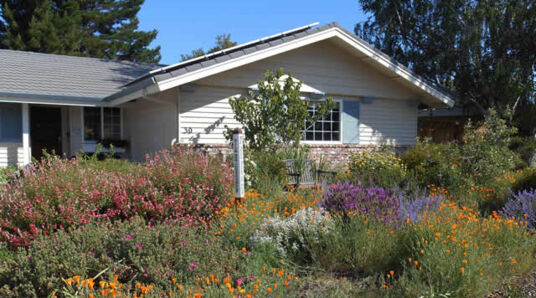 Lawn Conversion Rebate East Bay Municipal Utility District